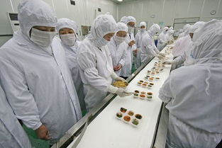 河北食品公司qs許可審查咨詢認證服務